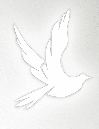 Dane Rodney Scott Obituary